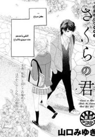 large_sakura-no-kimi
